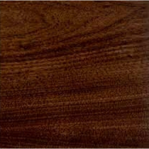 american-black-walnut