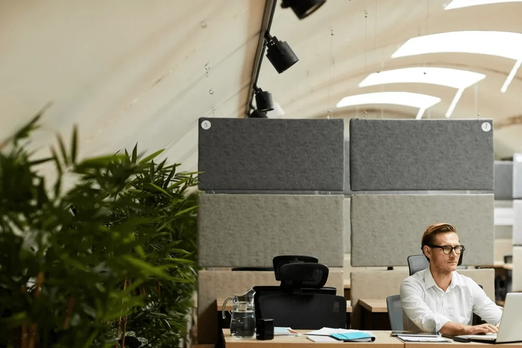 professional working in a soundproof office