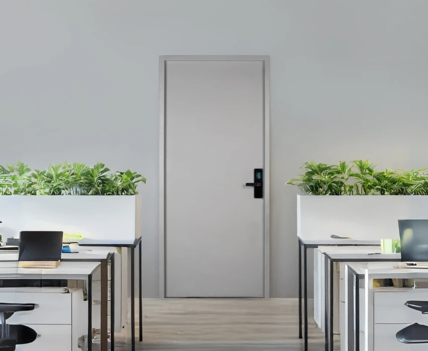janus-steel-door-in-office-opt